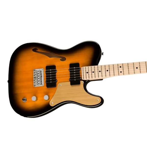 PARANORMAL CABRONITA TELE THINLINE - Imagen 3