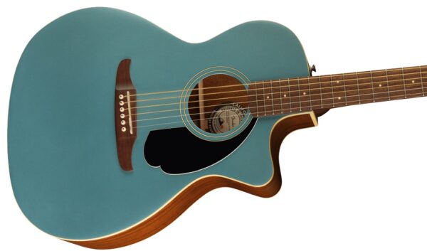 FENDER EACUST NEWPORTER PLAYER TPL - Imagen 3