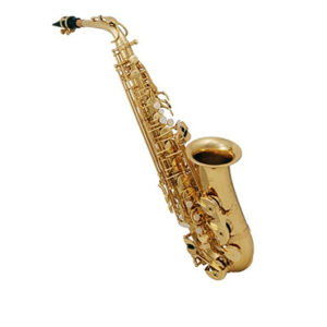ROY BENSON SAXOFON ALTO Mib