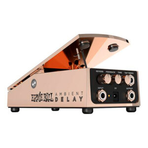 ERNIE BALL AMBIENT DELAY