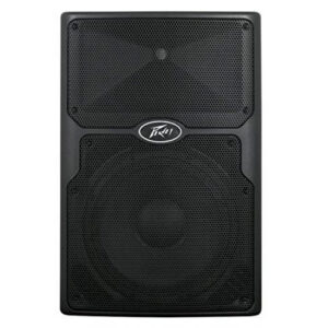 PEAVEY PVX12 PASIVO