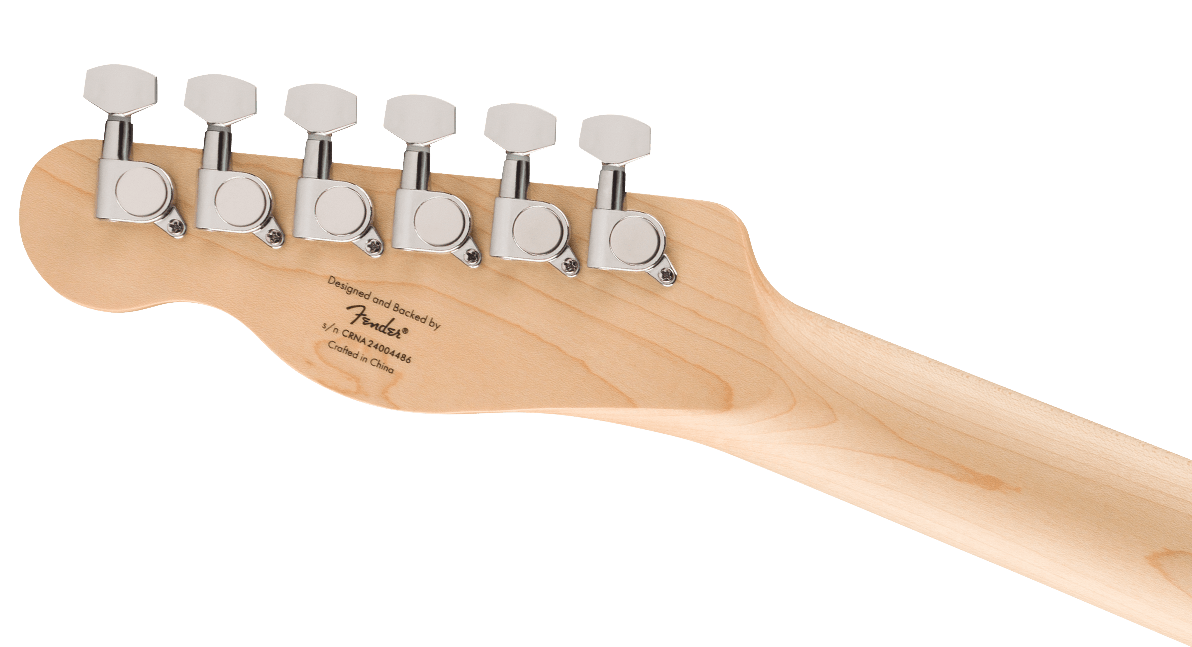 SQUIER DEBUT TELE LRL DKR - Imagen 6