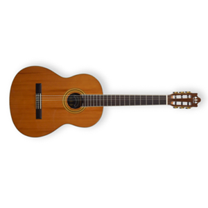 TRES PINOS CLASICA TPCG-0800NT
